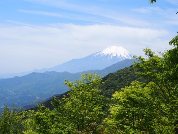 10/1210）水喰ノ頭に続く尾根からの富士山