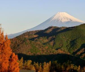 1/30 ホテルからの朝焼けの富士山