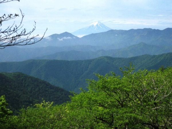 6/10 三条ダルミからの眺望・富士山