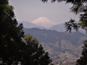 3/9大洞山では木立の間から富士山が見える！