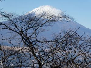 3/9 金時山への途中からの富士山