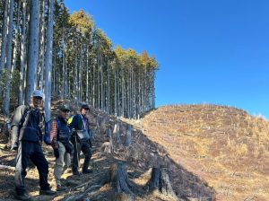 (9/12)伐採された明るい斜面の要害山へ