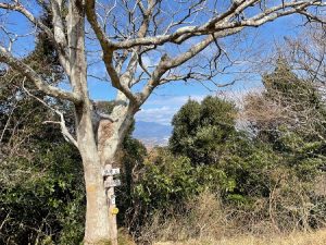 (4/9)徳倉山山頂にて昼食タイム