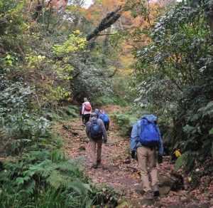 2/9 紅葉が残る登山道