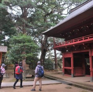 3/9 山門近くのなんじゃもんじゃ