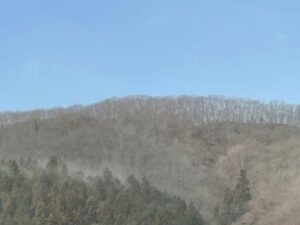 2/10快晴の中、スギ花粉の多量飛散に驚く