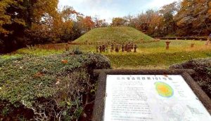 12/12 101号古墳(多数の埴輪が出土)