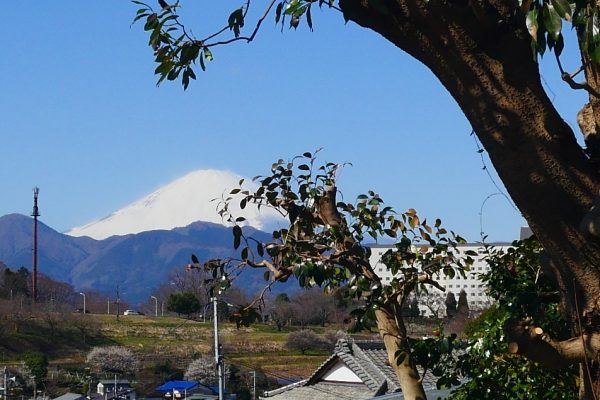2/9 いこいの村へ続く道、富士山がお供です
