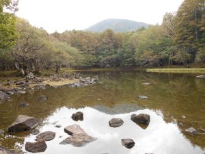 4/9 逆さ鶏頂山