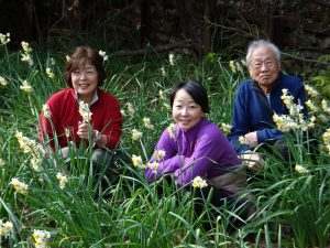 8/9　水仙の花に囲まれ、香りに包まれ満足