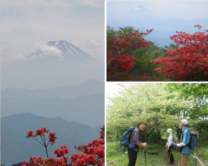 11/12 ハンゼの頭からは富士山が展望出来た