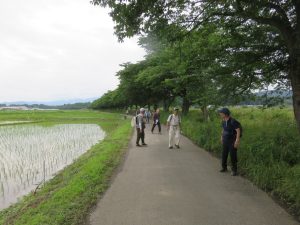 10-12都機川堤を「菅谷館跡」に向かう