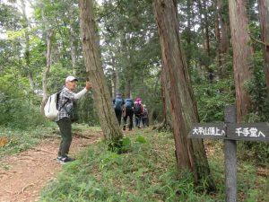 2-12「緑のトラスト」の中「大平山」に向かう