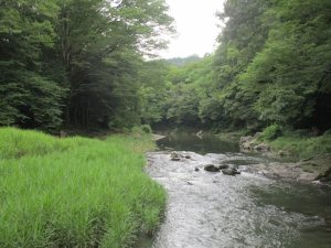 5-12嵐山渓谷の中心部