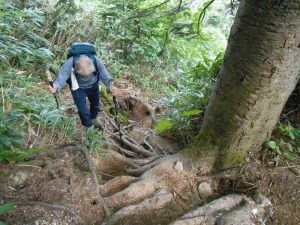 1/12 登山口から急登が始まる