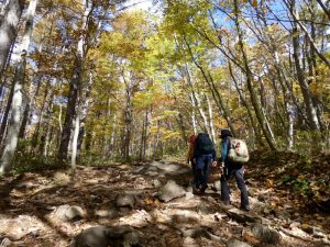 2/9 .紅葉の中を上る