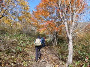 5/9 紅葉は最終番