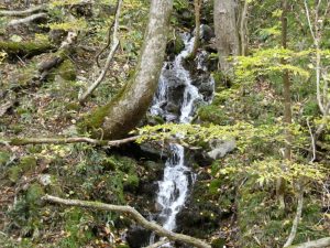 9/9 水神コースで見つけた小さな滝