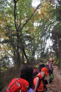 2/9最初から急登