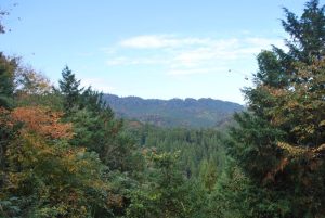 3/9高尾山を望む