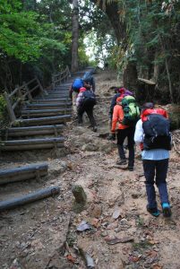 6/9急登を登る一班