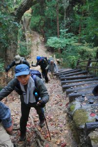 7/9急登を登る二班