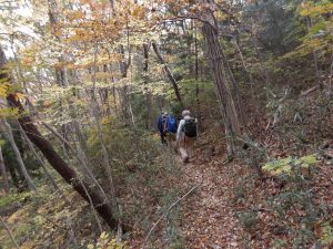 6/8紅葉の山道を下る