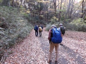 7/8落ち葉の林道を下る