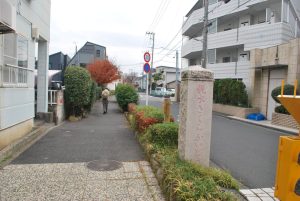 5/9 親水さくらかいどうを歩く