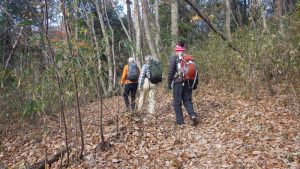 4/8 途中の登山道 案外の急登が続く