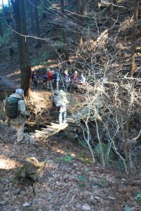 7/9 一本橋を渡り、「日向薬師」へ