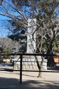 3/9「船橋大神宮」の梅の花