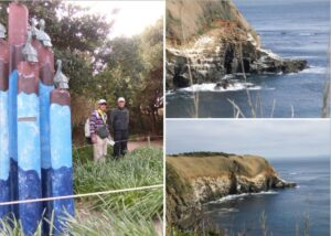 7/9　ウミウ展望台入口とウミウの生息地