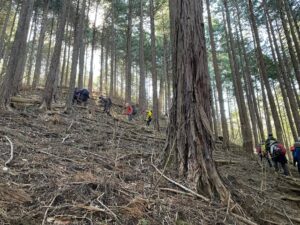 4/10 植林の中の急坂を登る