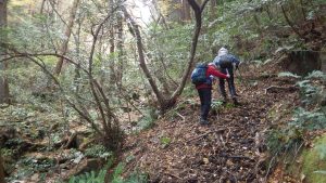 3/9 山中の道　左に沢