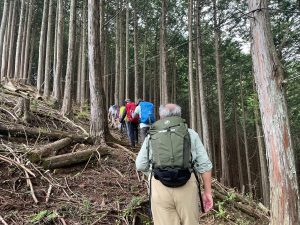 3/9 針葉樹に囲まれた山道を登る