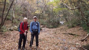 4/9 沢床　スラブの上の落ち葉