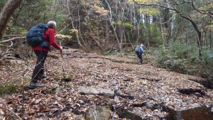 6/9 横断ヶ所にはトラロープのフィックスあり