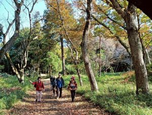 6/12 左右どちらも古墳が続く(115基もある)