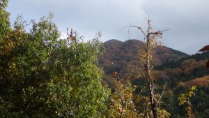 8/9 下山途中から振り返る燕山