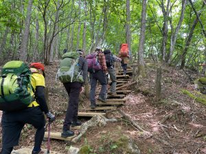 8/11 ここを登れば御前山山頂
