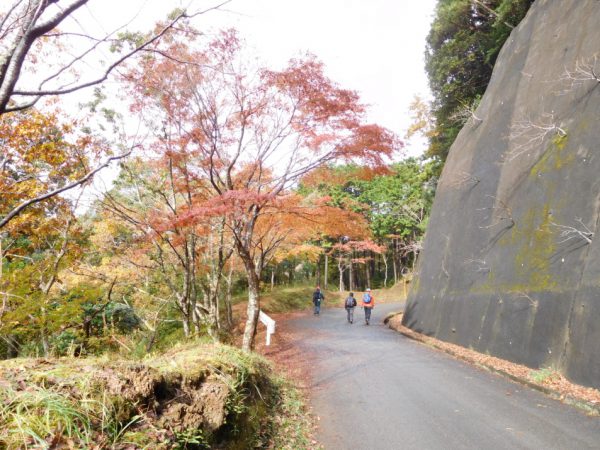 1/9大福山への登りは紅葉に囲まれて