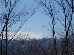 03 木の間からの富士山見える